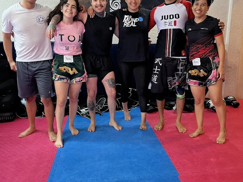 Toa MMA