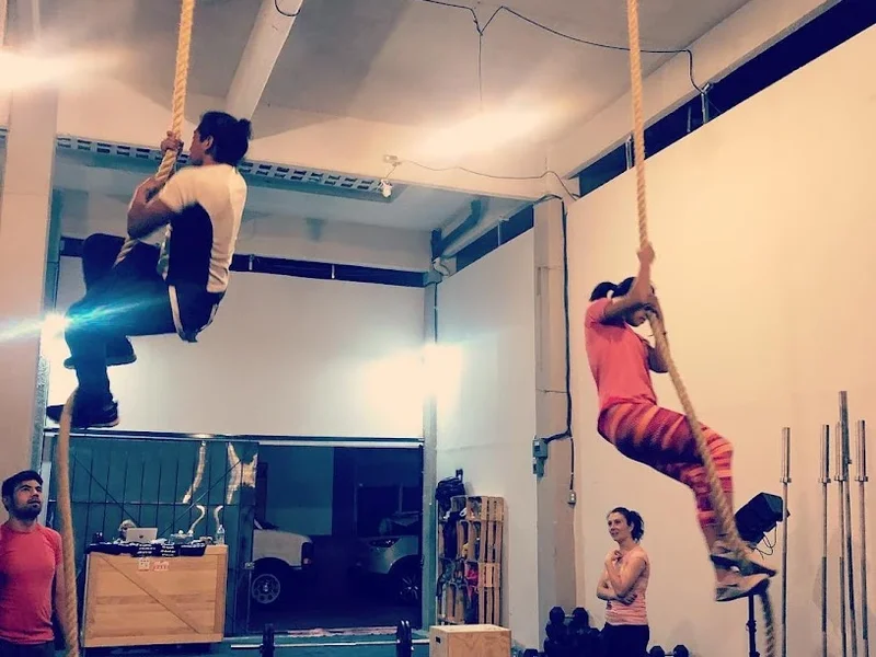 Alpha Wolf - Crossfit & Functional