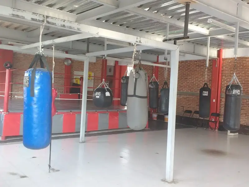 CAPITOLIO'S GYM