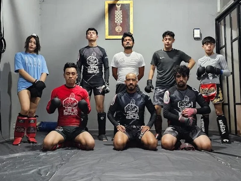 ARTES MARCIALES MIXTAS ICALIA ECATEPEC