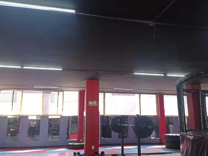 Fighting Garage/Ados Gym