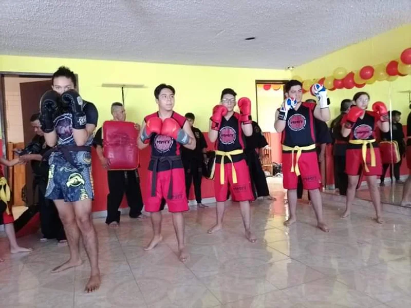 Sadoc Sierra Studio Jardines de Morelos