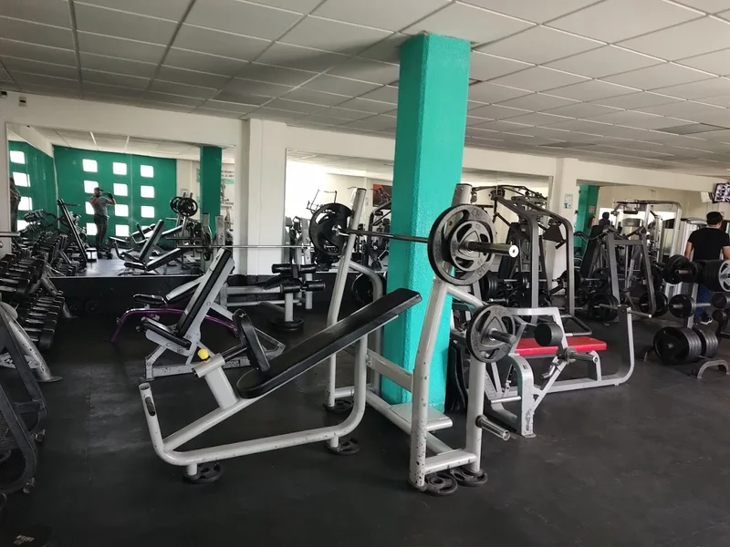 Mgs Gym