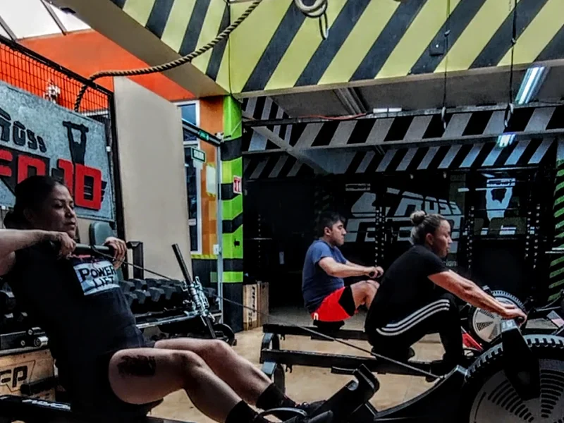 Cross RFP 10 (CROSS FIT)