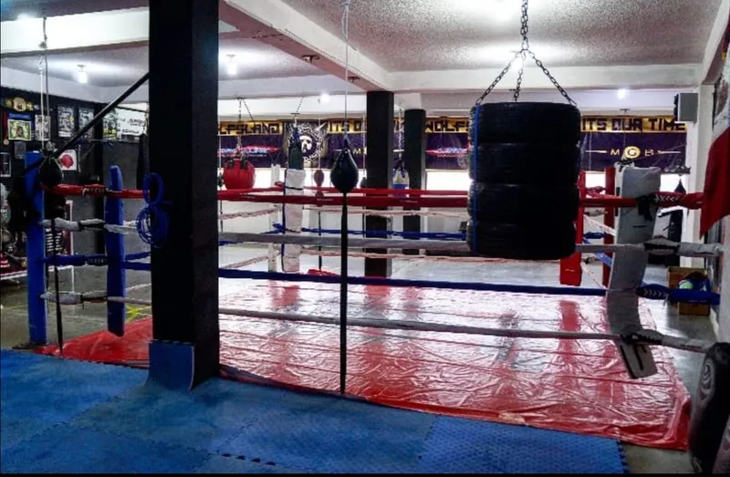 Cabrios dha mma & fitness