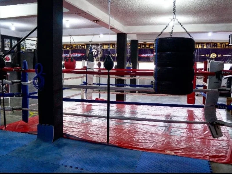 Cabrios dha mma & fitness