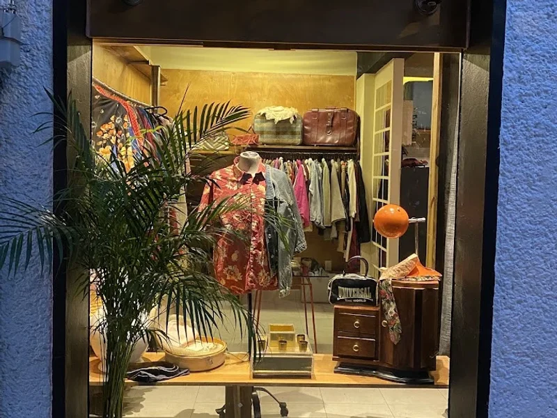 lo pasado pasado vintage closet