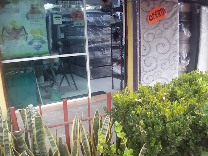 Venta de colchones