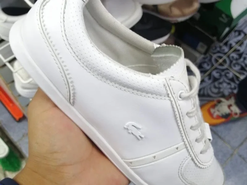 Sneakers." Hecho en Tepito "