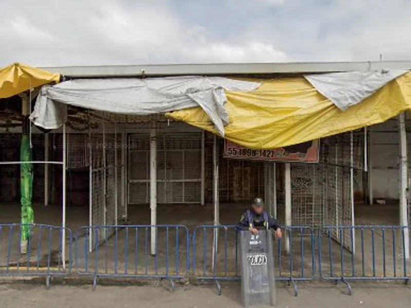 Sport Girl & Accesorios #1