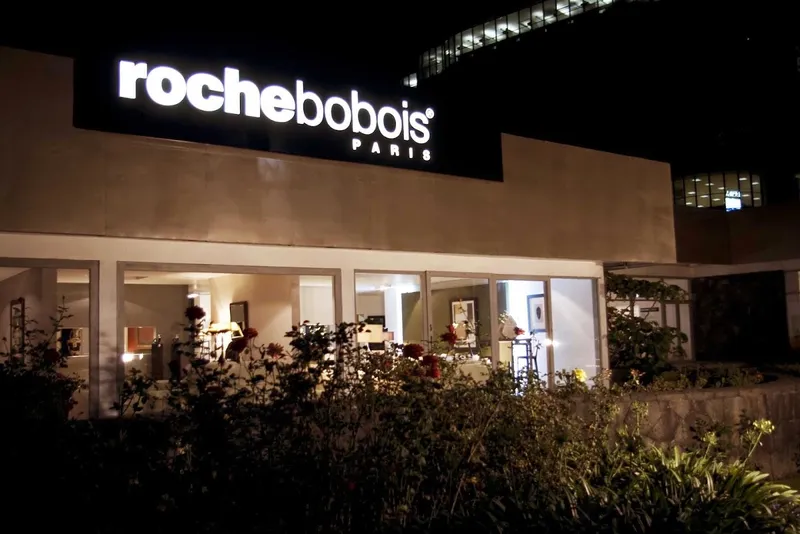 Roche Bobois