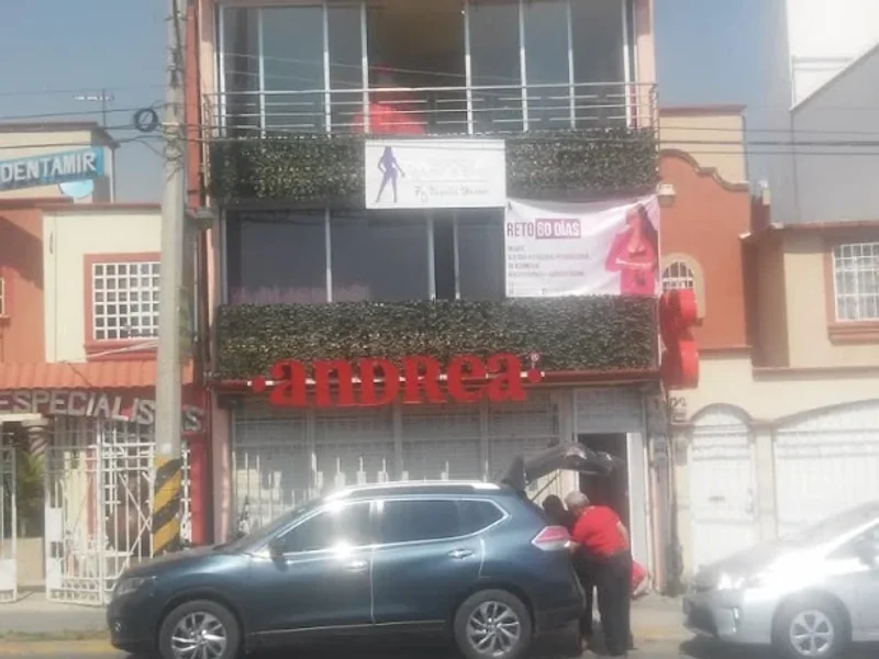 Andrea Jardines de Morelos