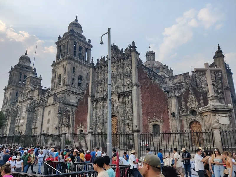 LIBROS ZÓCALO