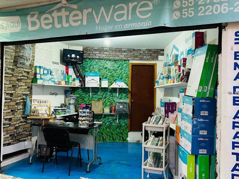 Betterware Reyes Acozac