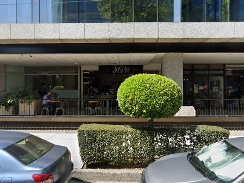 Dra. Zamira Faride Barragán Estudillo, Dermatólogo