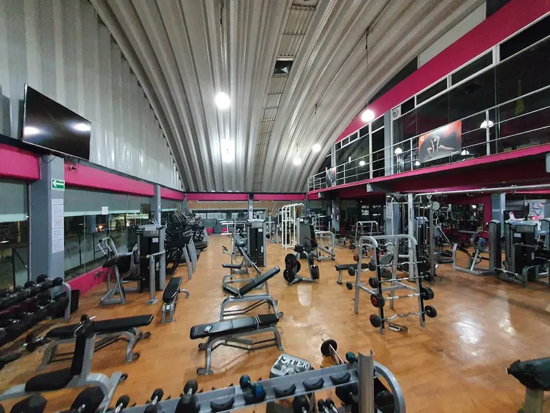 Rimont GYM Tecamac