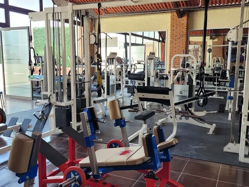 FENIX SPORT GYM