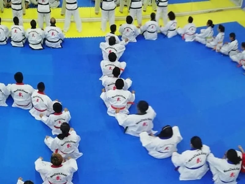 Escuela de Taekwondo MDK Air Fighter