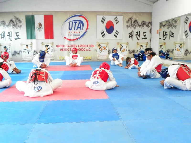 Taekwondo Teotihuacán (UTA MÉXICO)