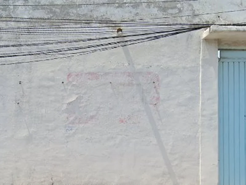 Rastabiker taller de motocicletas