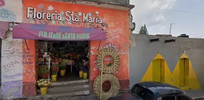 Los 10 tiendas de complementos de Santa María Ajoloapan Hueypoxtla