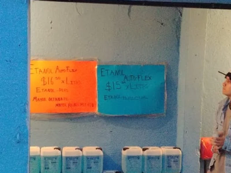 auto flex temascalapa