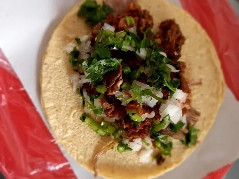 Carnitas y barbacoa "EL PUPY"