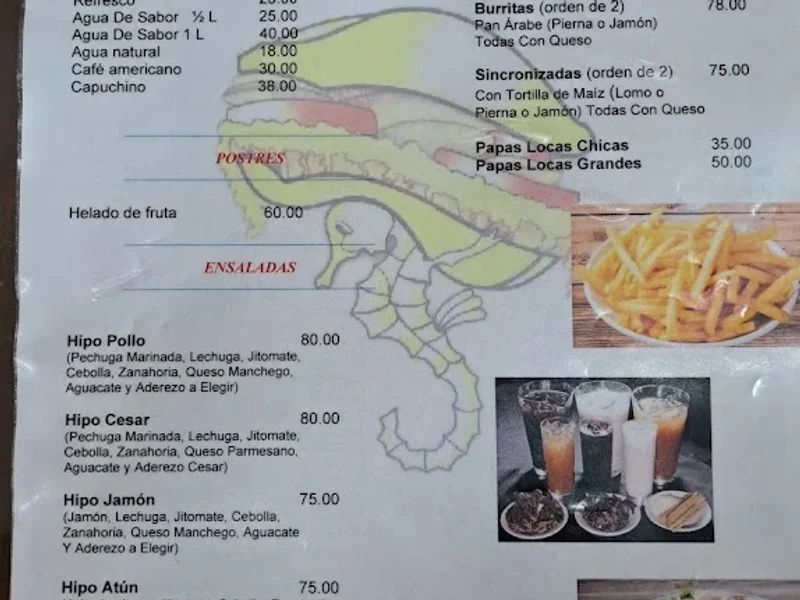 Tortas Locas Hipocampo ( Lomas de Atizapán)