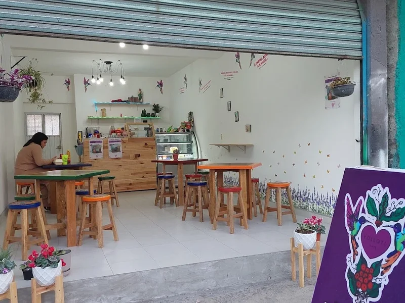 Yollotl cafe
