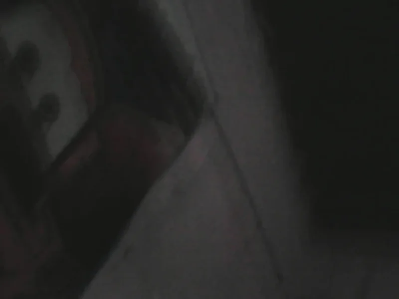 Tortillería "La Negra"