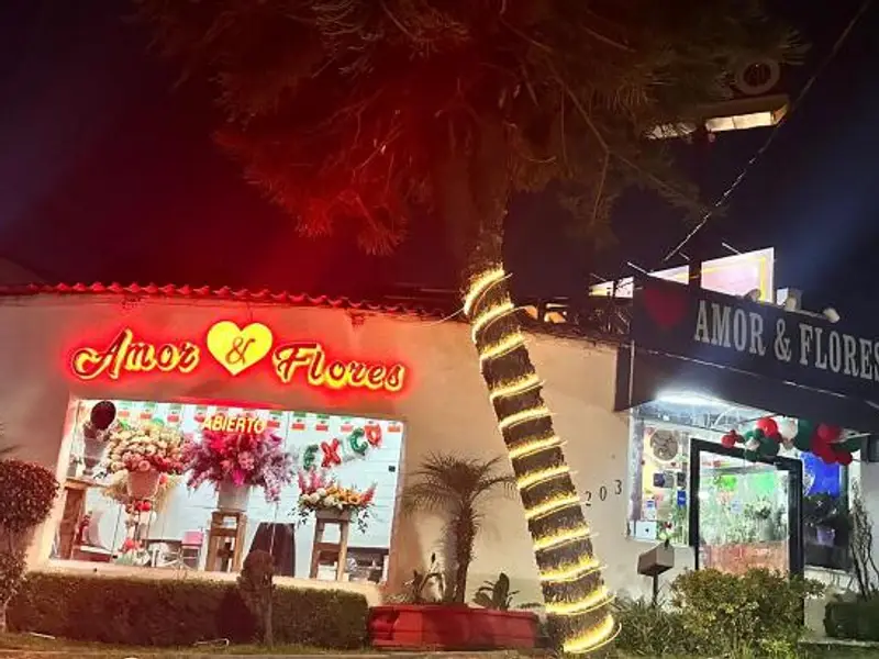 Florería Amor Y Flores