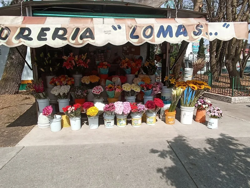 Florería Lomas