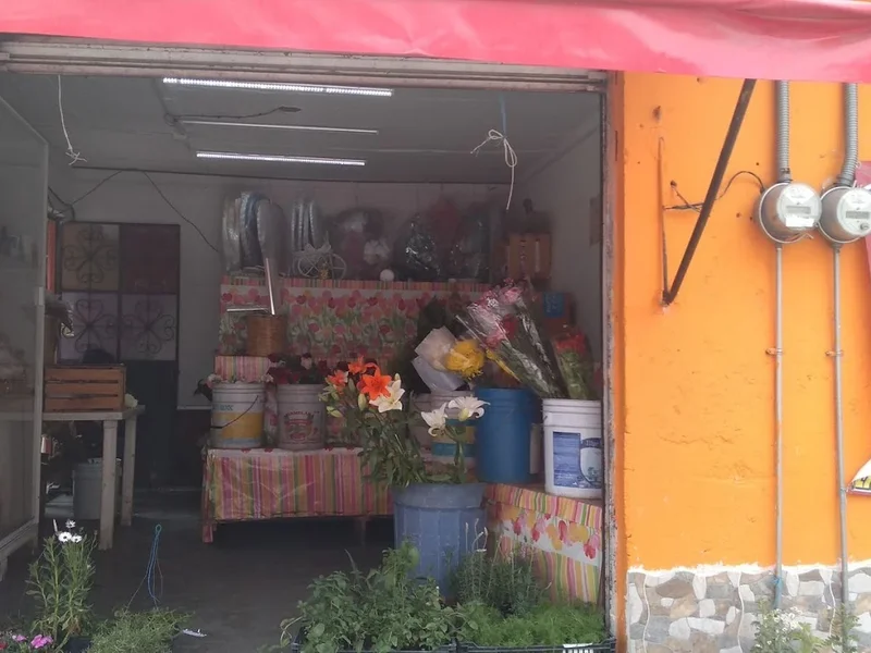 Florería mi cariñito