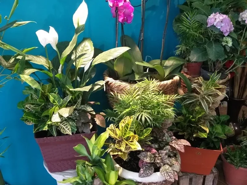 Sakura Diseño Floral