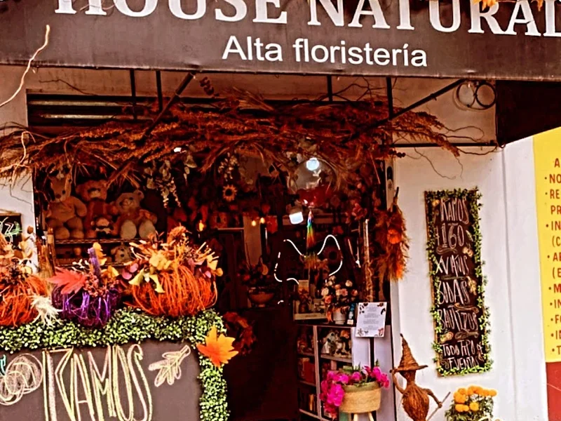 Floreria House Natural alta floristería.