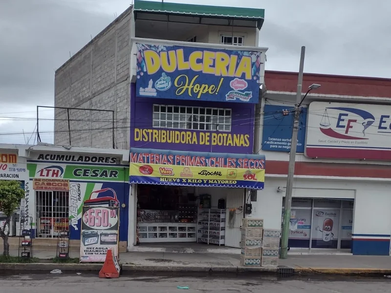 DULCERIA HOPE DISTRIBUIDORA DE BOTANAS EL SOL