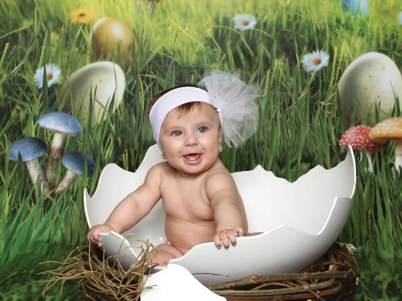 Estudio Fotográfico Fotolandia Atizapán