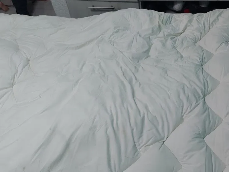 Tintoreria La Moderna