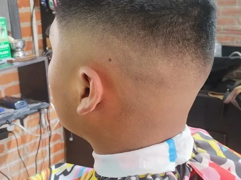 Peluquería y Barbería "El Gallito Negro"