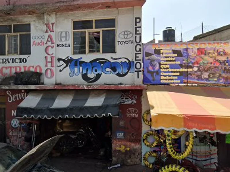 Servicio Eléctrico Nacho