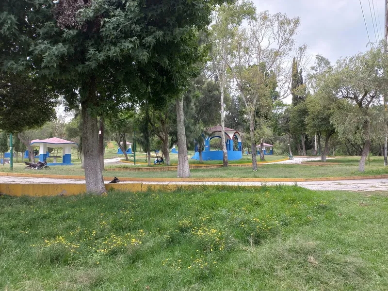 Parque México Nuevo