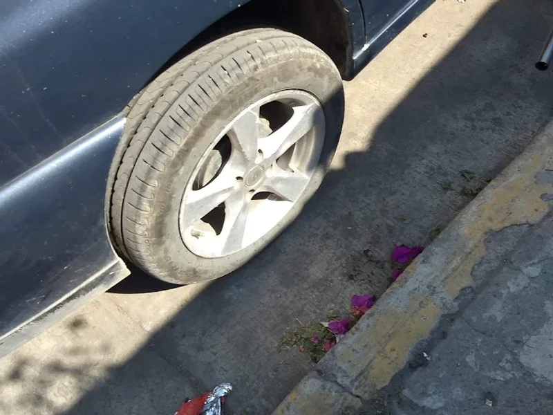 Taller Mecánico El Coyote