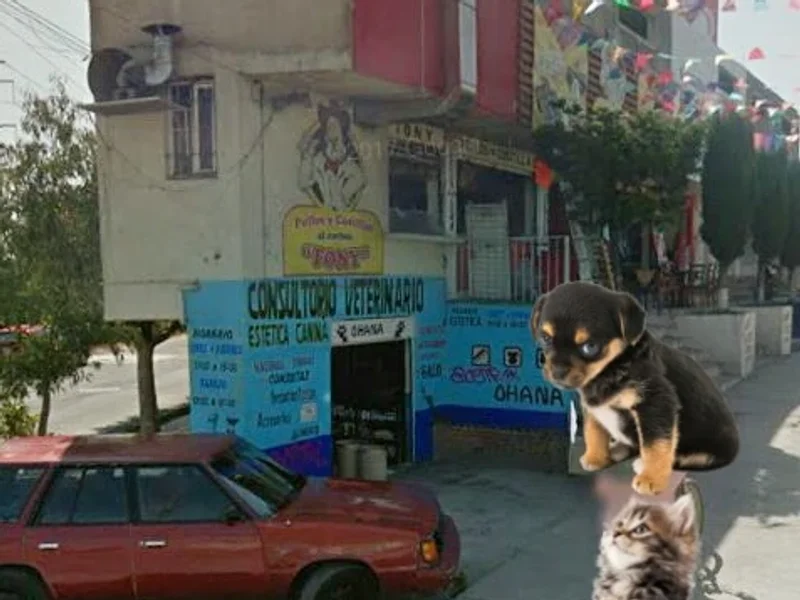 Consultorio Médico Veterinario Ohana