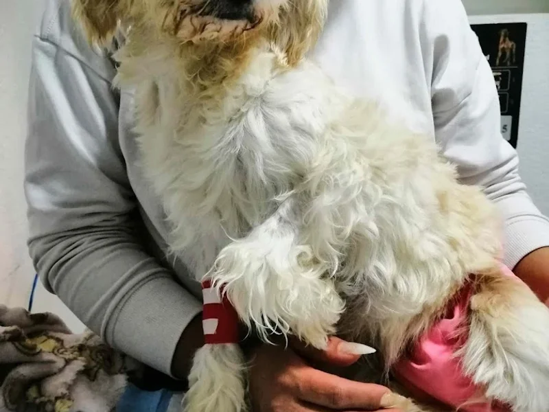 Jardines Pet Center Hotel y guardería Canina y felina, veterinaria y estética canina