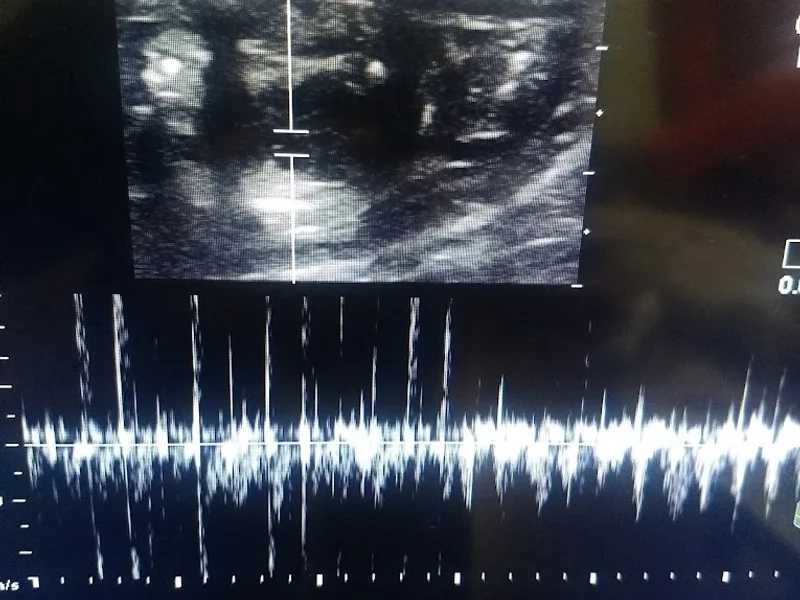 Hospital Veterinario Xolo