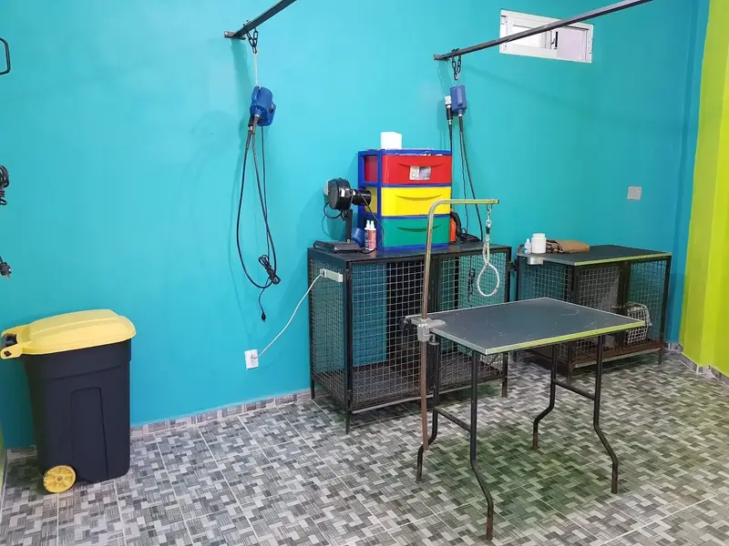 Clinica Veterinaria Vioscan