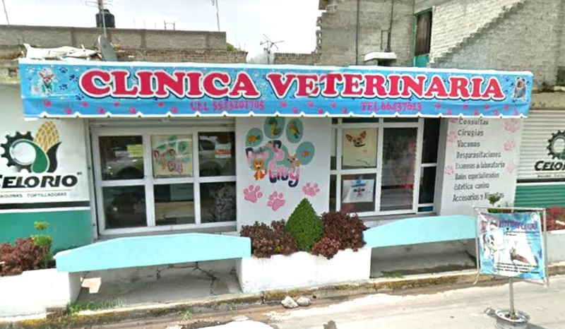 Clinica Veterinaria