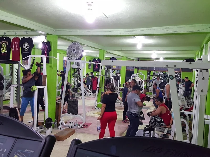 Master's System's Gym