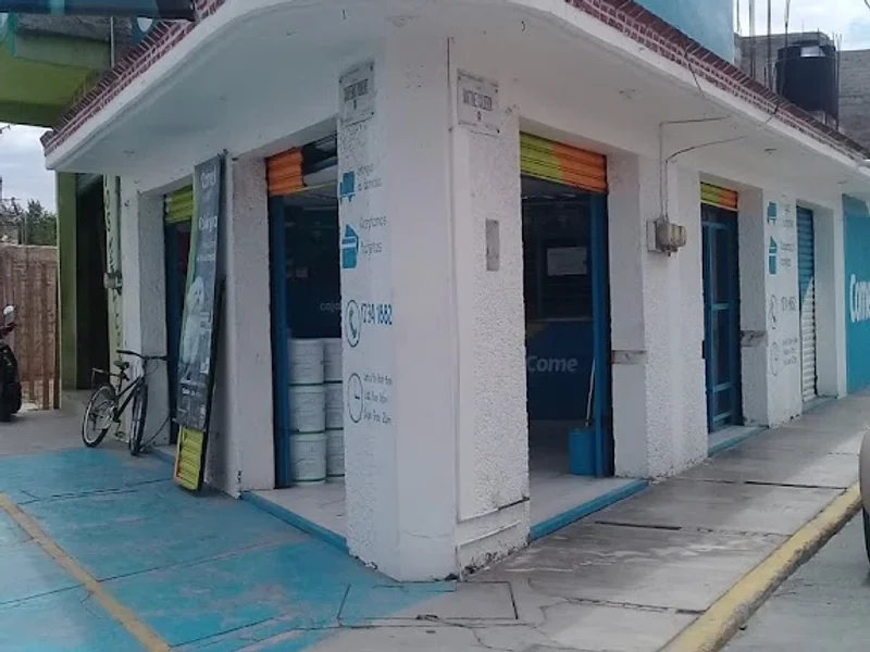 Tienda Comex