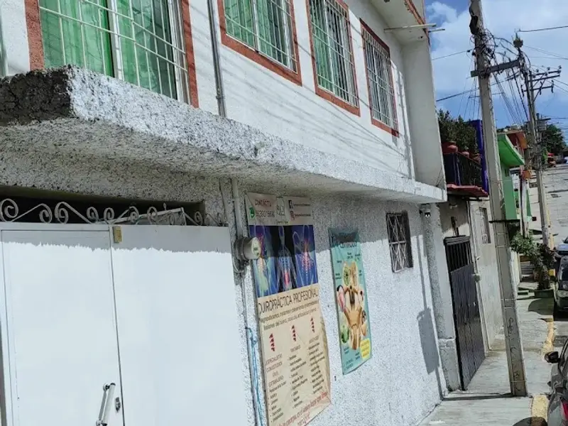 QUIROPRÁCTICA PROFESIONAL